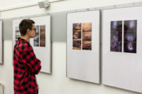 Uczeń ogląda oprawione fotografie na ścianie galerii. Kliknięcie w miniaturkę obrazka spowoduje wyświetlenie powiększonego zdjęcia.
