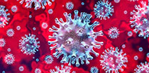Kliknięcie w miniaturkę obrazka spowoduje przejście do artykułu "Koronawirus". Podstawowe środki ochronne przeciwko nowemu koronawirusowi wywołującemu chorobę COVID-19